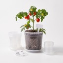 Vasi da seme 72 pz con sottovasi e etichette, trasparenti, 4 dimensioni 8–15,5 cm, plastica con fori di drenaggio, per piante da interno e da giardino 2