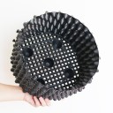 Vaso aeratore che accelera la crescita delle radici 4