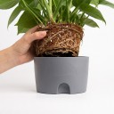 Vaso autoirrigante 11,3 cm em duas partes com reservatório de água transparente e cordão de algodão para ervas e suculentas 3