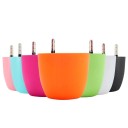 Vaso autoirrigante 1