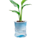 Vaso da fiori autoirrigante a due parti 10 x 12 cm Vaso in plastica con serbatoio d'acqua Vaso semitrasparente per piante d'appartamento 3