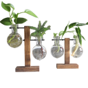 Vaso da tavolo in vetro con base in legno 13,5 x 10 cm 2 bulbi rimovibili a forma di lampadina Coltivazione idroponica Decorazione per la casa 2