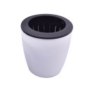 Vaso de Plástico C956 2