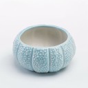 Vaso decorativo a forma di conchiglia 2