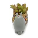 Vaso Decorativo C961 4