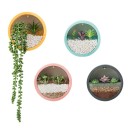 Vaso decorativo de parede 5