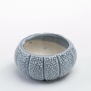 Vaso decorativo em forma de concha 2