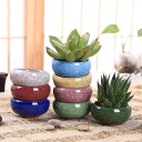 Vaso in ceramica per succulente 8 pz 1