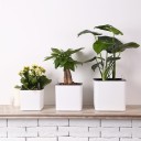 Vaso quadrato autoirrigante 1