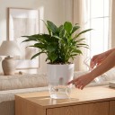 Vază autoirigantă 11,3 cm Dvocomponentă cu rezervor de apă transparent și fir de bumbac Pentru ierburi și suculente 8