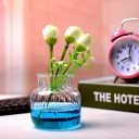 Vază transparentă din sticlă 8,5 x 6 cm, vază decorativă mică, formă rotundă elegantă, decor de masă, ghiveci de flori pentru masă 4