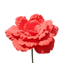 Velká umělá pivoňka realistický květ 30 cm PE tkanina dekorace do vázy na stůl komodu polici a do interiéru 1