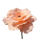 Velká umělá pivoňka realistický květ 50 cm PE tkanina dekorace do vázy na stůl komodu polici a do interiéru 10