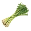 Velké balení semínek voňatka ohnutá Cymbopogon flexuosus 500 ks zelená aromatická tráva pro hromadné pěstování a destilaci 1