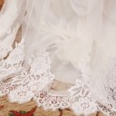 Velo da Sposa Cattedrale 500 cm Larghezza 160 cm Tulle Monostrato con Bordo in Pizzo e Pettine Metallico Bianco 5