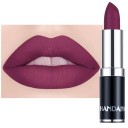 Velvet Matte Lipstick Long-lasting and Water-resistant Lip Makeup 6