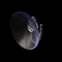 Ventosa con gancio 10 pz 6