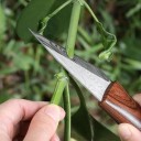 Veredelnmesser mit PU-Lederetui 19,5 cm Edelstahlklinge mit Damastmuster und Holzgriff Für das Veredeln und Pfropfen von Bäumen 3