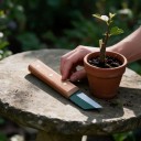 Veredlungsmesser mit schräger Klinge 16,7 cm Metallklinge 6 cm und braunem Holzgriff Für das Veredeln und Pfropfen von Obstbäumen und -sträuchern 4