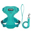 Verstelbare veiligheidsgordel voor honden met lijn Mesh gordel voor kleine honden Reflecterende vesten met lijn Ademend vest voor honden van 9 - 11 kg 3