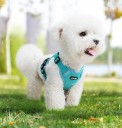 Verstelbare veiligheidsgordel voor honden met lijn Mesh gordel voor kleine honden Reflecterende vesten met lijn Ademend vest voor honden van 9 - 11 kg 2