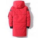 Veste d'hiver en duvet pour homme F1265 2
