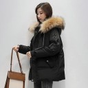 Veste d'hiver pour femmes P1945 1