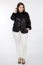 Veste en cuir de crocodile pour femmes 5