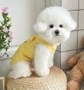 Veste pour chien en tissu jaune XL Vêtement mignon pour petits chiens 5,5–7,5 kg Attache pour laisse Veste confortable 50 cm tour de poitrine 38 cm 3