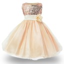 Vestido de niña lujoso con flores J3238 14