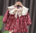 Vestido de niña N310 3