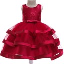 Vestido de niña N493 4