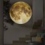 Vetítő LED lámpa Hold/Föld 3