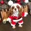 Vianočné oblečenie pre psov Santa Claus 6