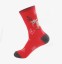 Vianočné ponožky 3