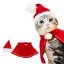 Vianočné šaty pre mačku alebo psa 4