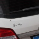 Visser auto sticker 3