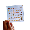 Vitrina cuadrada transparente de 36 compartimentos marco decorativo mini para colección de objetos pequeños caja de exhibición organizador 2