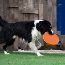 Vliegende schijf voor honden en katten siliconen 17,8 cm kleurig bijtbestendig interactieve speelgoed voor training en apport 3