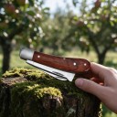 Vouwbare entmes met twee messen 16,5 cm Metalen messen en een bruine houten handgreep Voor het enten en snoeien van fruitbomen 6