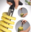 Vykrajovač à ananas 1