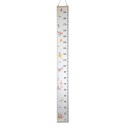 Wall Children's Height Chart 3