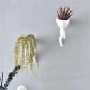 Wall Decorative Planter H886 6