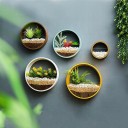 Wall Decorative Planter 5