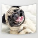 Wall Tapestry C506 5