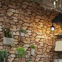 Wall Wallpaper G2287 7