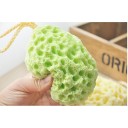 Washing Sponge 3