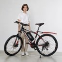Wasserdichter Batteriedeckel für E-Bike ChamRider Größe Small 34 x 14,5 x 10 cm Für Batterien Polly 6 und Hailong 1–2 Schwarz Für Rahmenbatterie 4