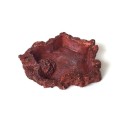 Water and Food Bowl for Reptiles 4