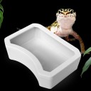 Water and Food Bowl for Reptiles C814 11